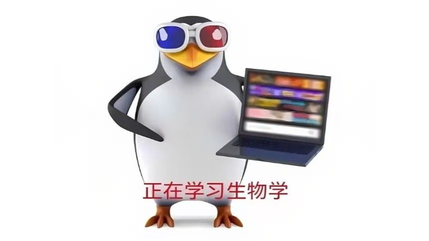 实测教程“闲逸开挂视频	”其实确实有挂-第2张图片