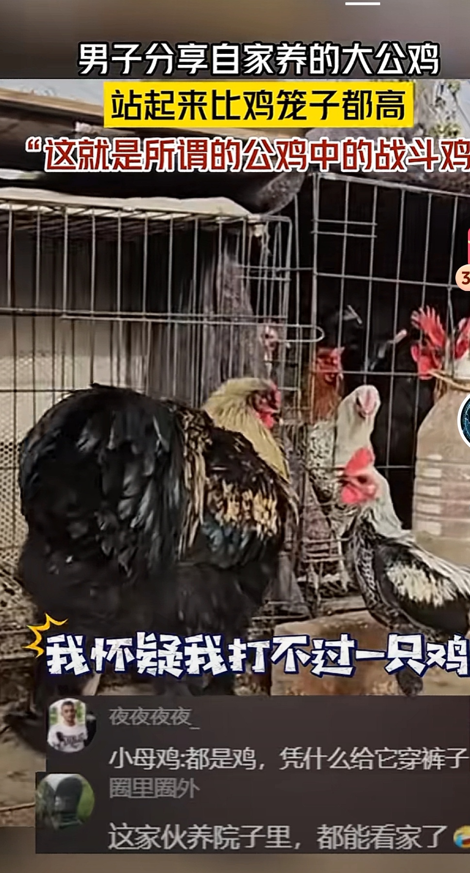 教程分享“比鸡作弊软件能用吗	”分享用挂教程-第2张图片