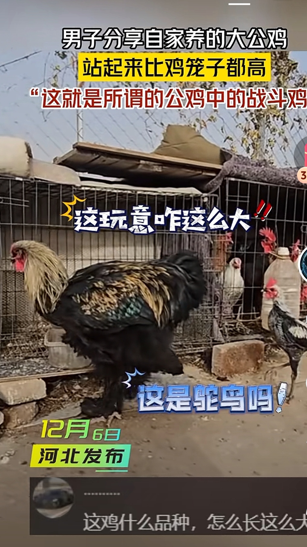 教程分享“比鸡作弊软件能用吗”分享用挂教程