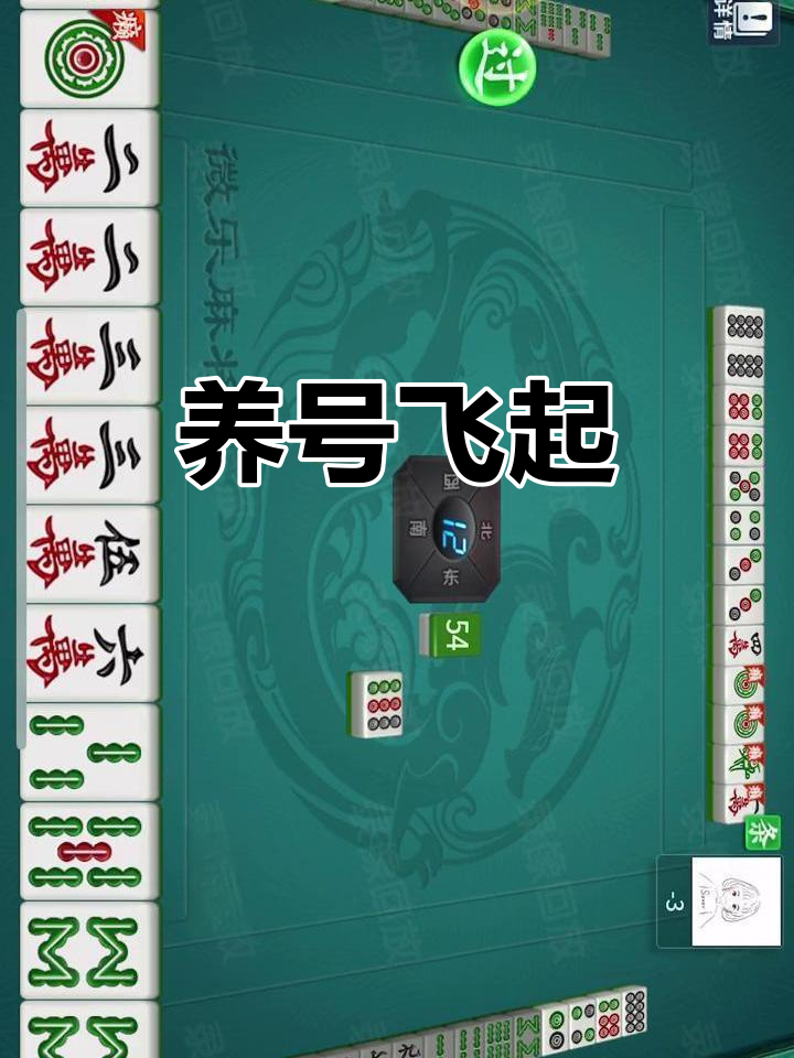科普一下“贵阳微乐麻将开挂怎么安装”详细分享开挂-第2张图片