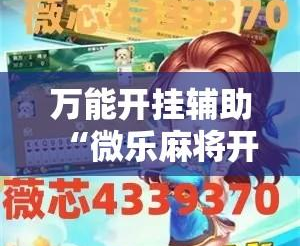 介绍一款“微乐家乡手机麻将挂”分享装挂详细步-第2张图片