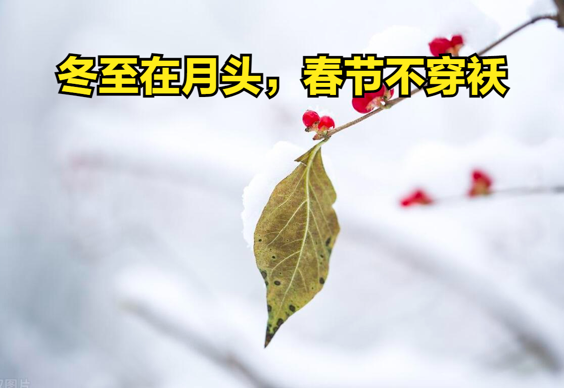 【2024春节高速免费/2024春节高速免费时间表】-第2张图片