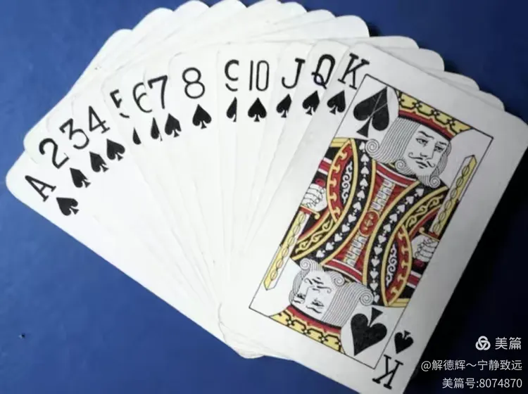 专业讨论“方片十三张透视挂”爆光开挂猫腻-第1张图片