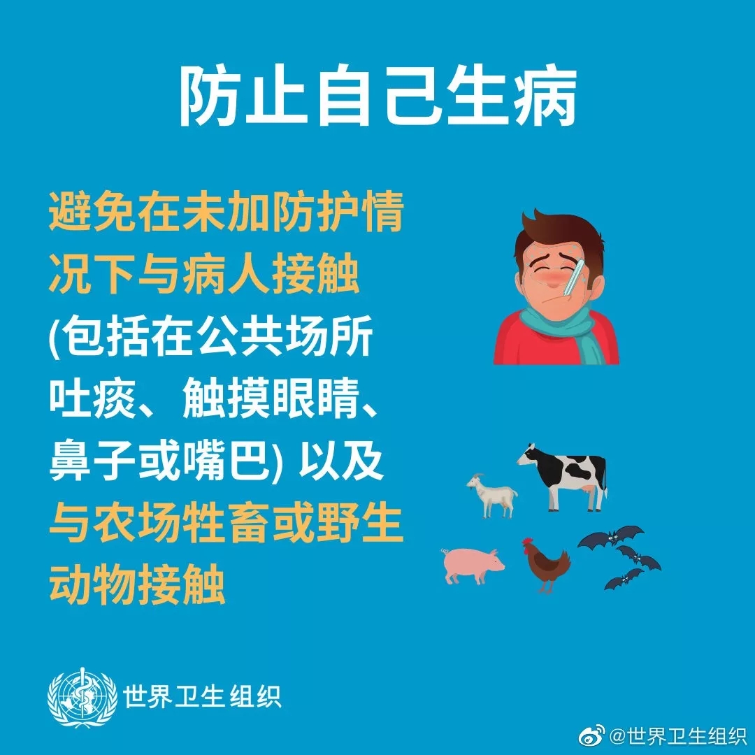 北京新冠状病毒最新消息-北京新冠状病毒最新消息数据-第2张图片