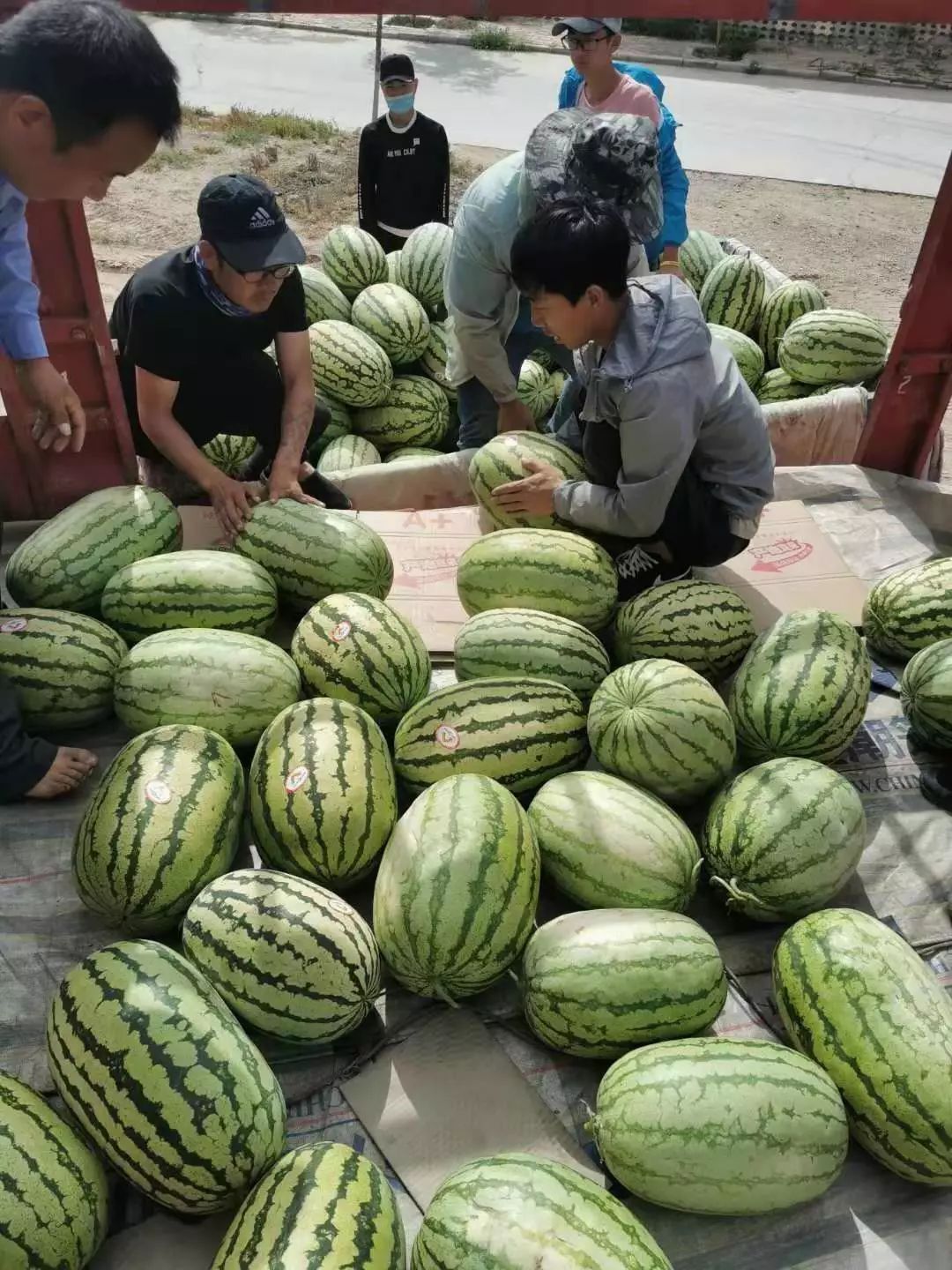 教程分享“微乐宁夏捉麻子开挂免费下载安装	”确实有挂-第1张图片