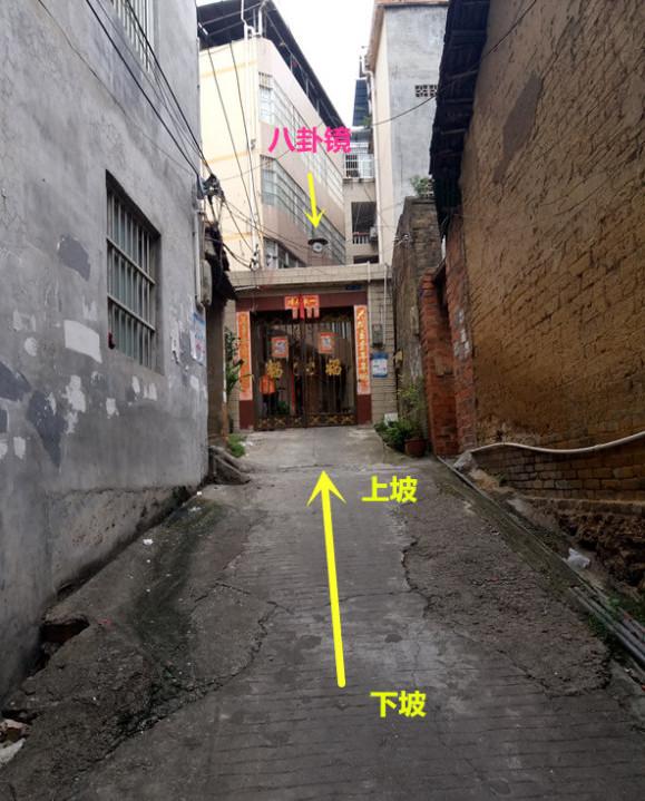 传递经验“金州水鱼有什么挂	”其实是有挂-第2张图片
