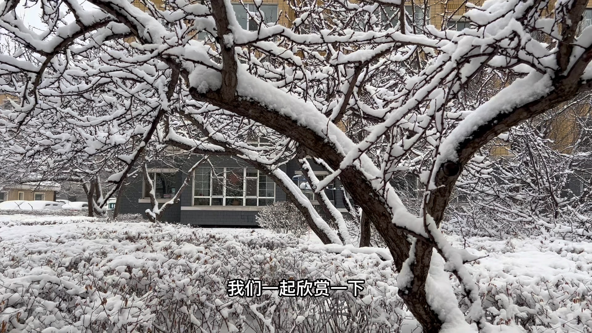 “吉林最新疫情消息今天” 吉林最新疫情消息今天封城了？-第2张图片
