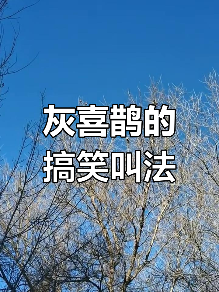 玩家必读“喜鹊互娱麻将有挂吗	”爆光开挂猫腻-第3张图片