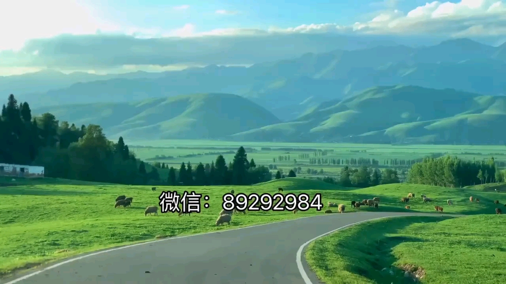 今日热议“星悦手机麻将挂先试用后付款”附开挂脚本详细-第2张图片