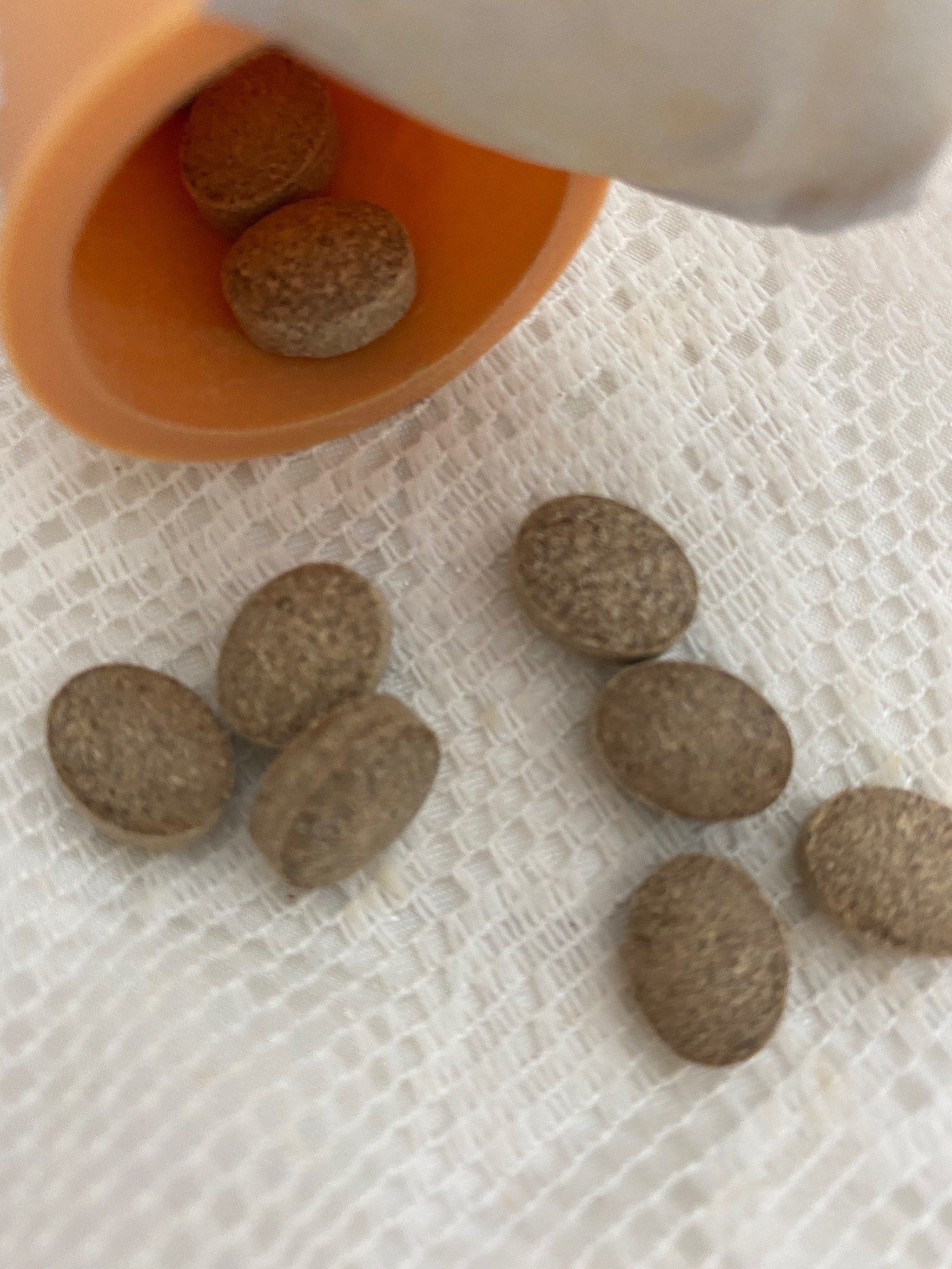 分享一款“牌友联盟透视挂教程”(其实是有挂)-第1张图片